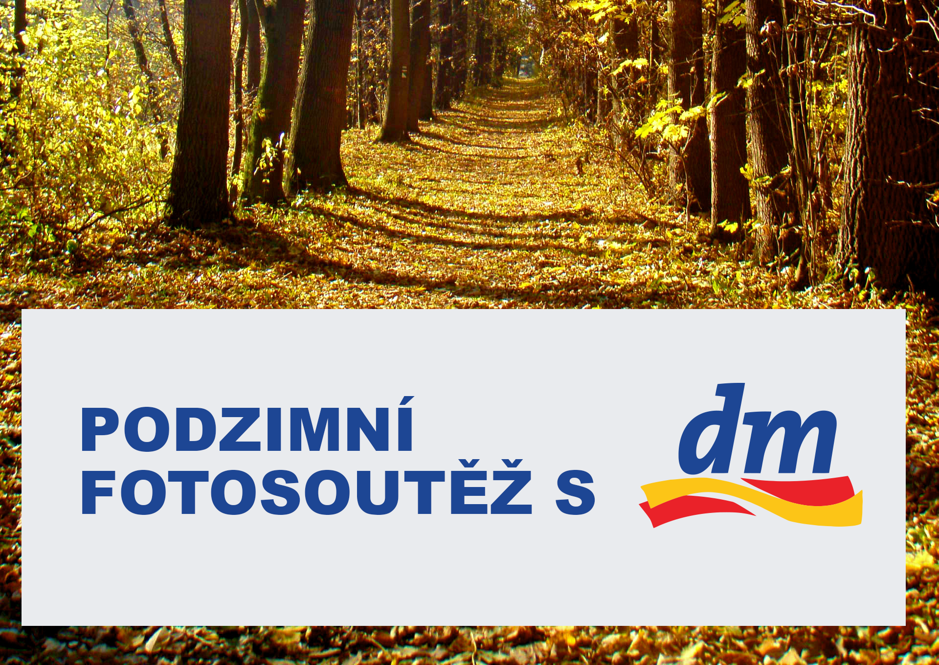 Podzimní fotosoutěž s DM