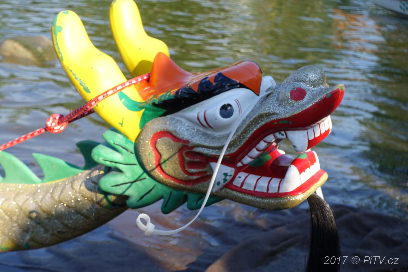 FOTO: Festival dračích lodí na Laguně